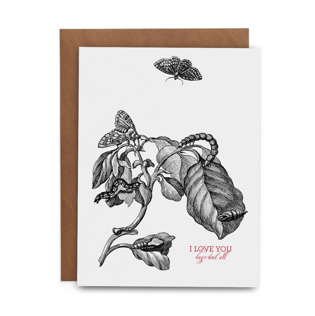 I love You Bugs and All - Lost Art Stationery