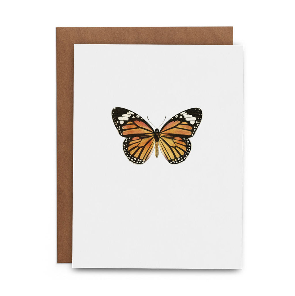 Butterfly Box Set - Lost Art Stationery