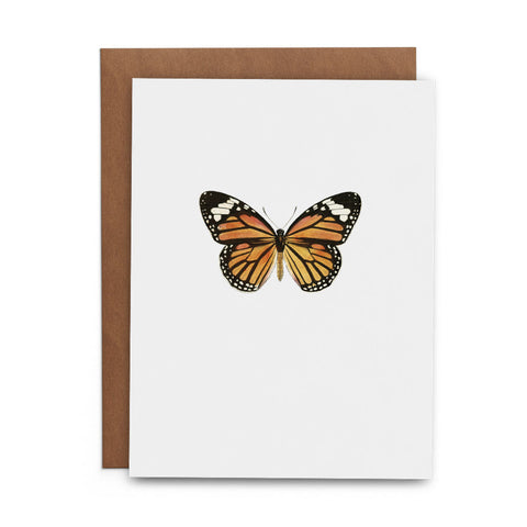 Butterfly Box Set - Lost Art Stationery